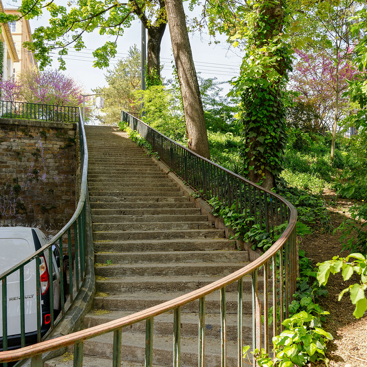 Escaliers Rue Bodin sous le Gros Caillou Lyon 1er