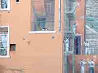 Les Peintres en bâtiment - Mur des Canuts Boulevard des Canuts Lyon 4ème