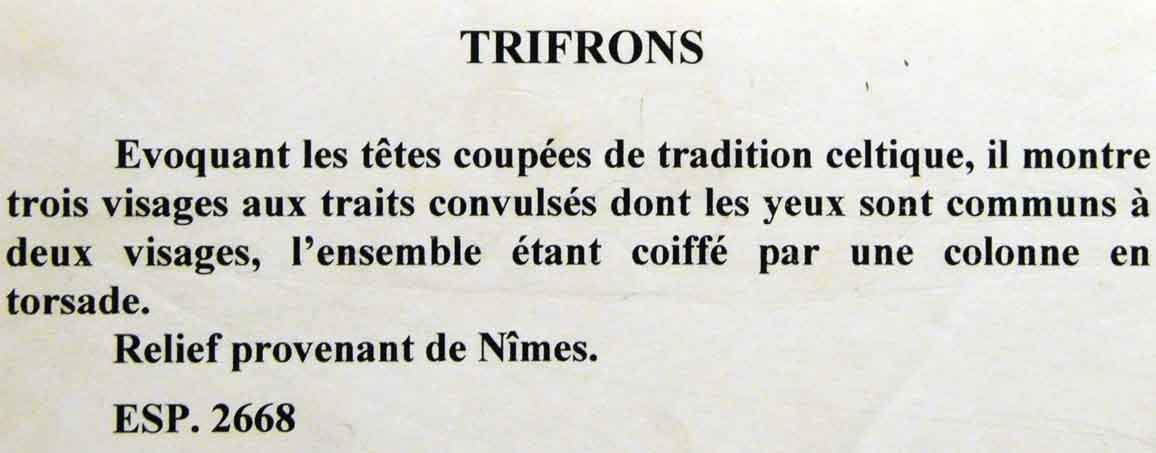 Trifrons
