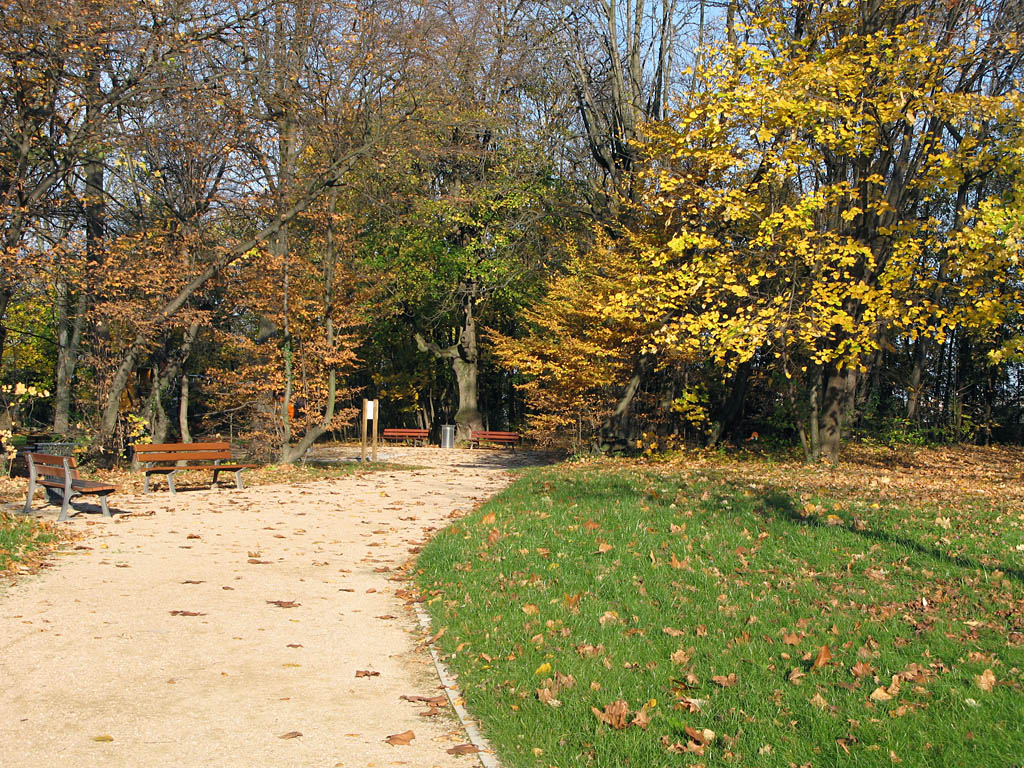 Parc des Hautefeuilles Lyon 5