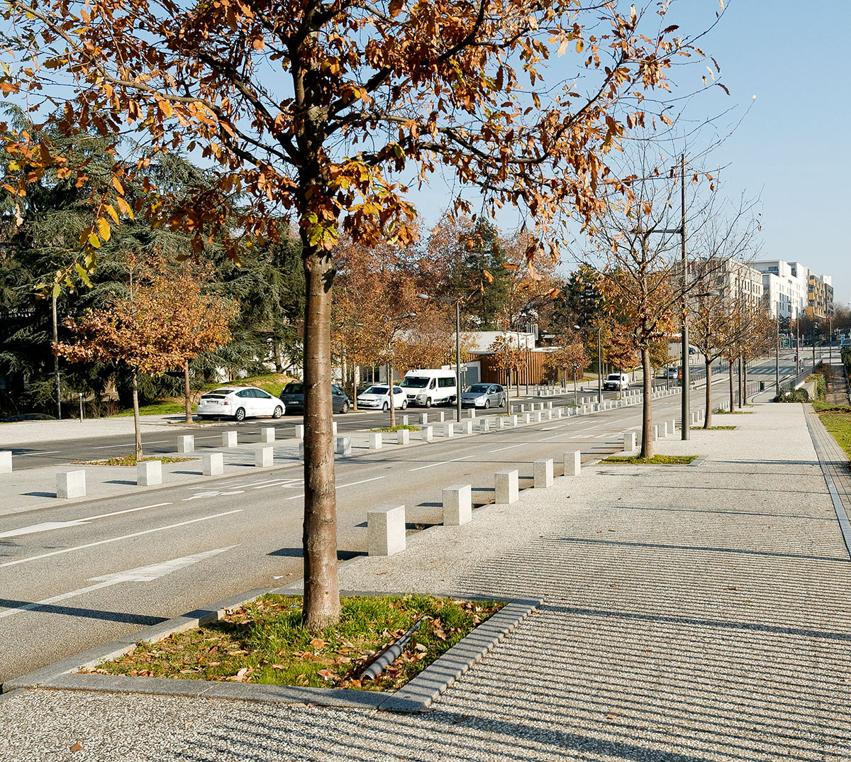 Avenue Rosa Parks (1913-2005) à la Sauvegarde La Duchère (Lyon 9ème)