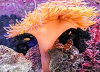 Aquarium de Lyon à La Mulatière - Rhône