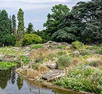 Jardin Botanique - Parc de la Tête d’Or - Lyon 6ème