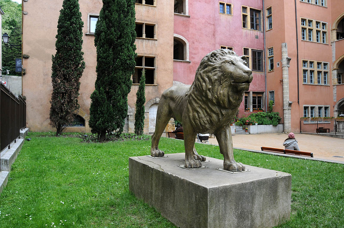 Un Lion d’une Biennale des Lions - Place de la Basoche Lyon 5ème