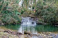Ruisseau des Planches près du Pont-Siphon des Planches - Ecully et Tassin la Demi-lune