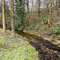 Ruisseau des Planches près du Pont-Siphon des Planches - Ecully et Tassin la Demi-lune
